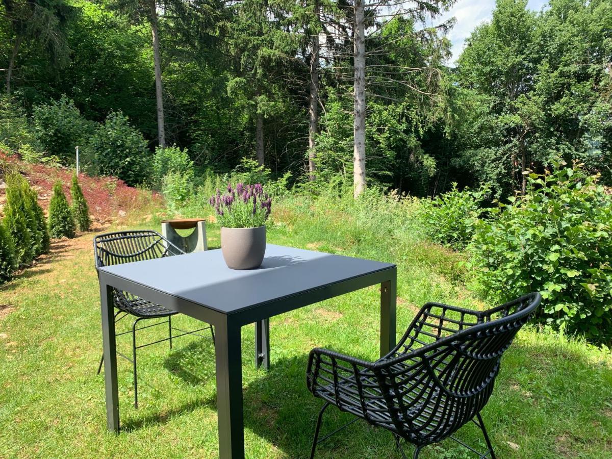 Moderne Wohnung Im Gruenen Mit Privatem Garten Донауешинген Екстер'єр фото
