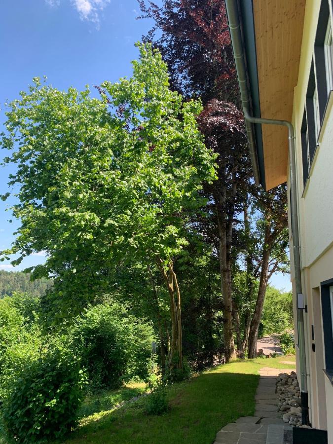 Moderne Wohnung Im Gruenen Mit Privatem Garten Донауешинген Екстер'єр фото